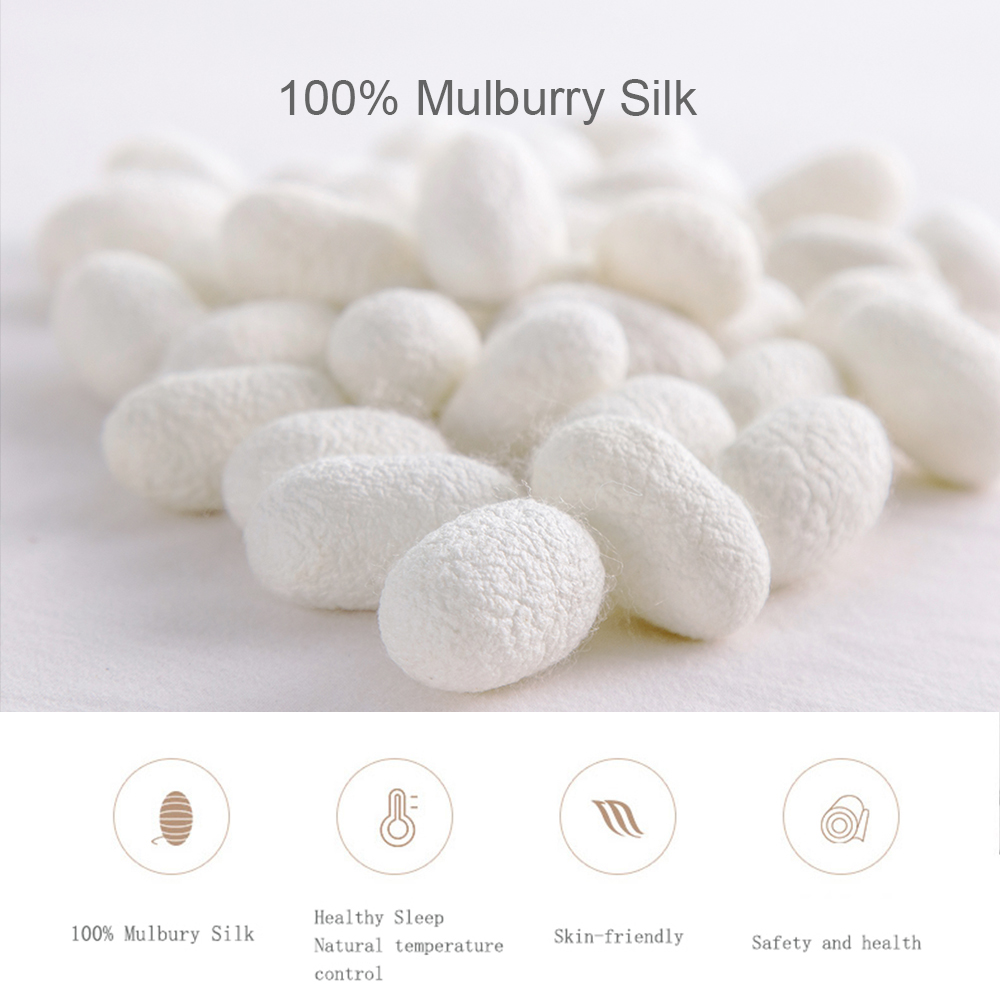 Liv-Esthete 100% Silk Duvet Co - مراجعة Skincare Skin 1004 وسعره